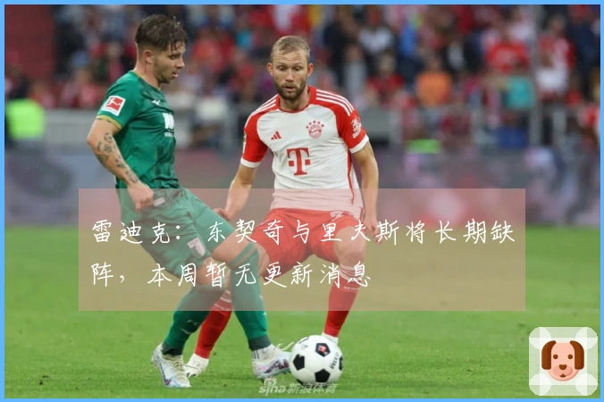 雷迪克：东契奇与里夫斯将长期缺阵，本周暂无更新消息