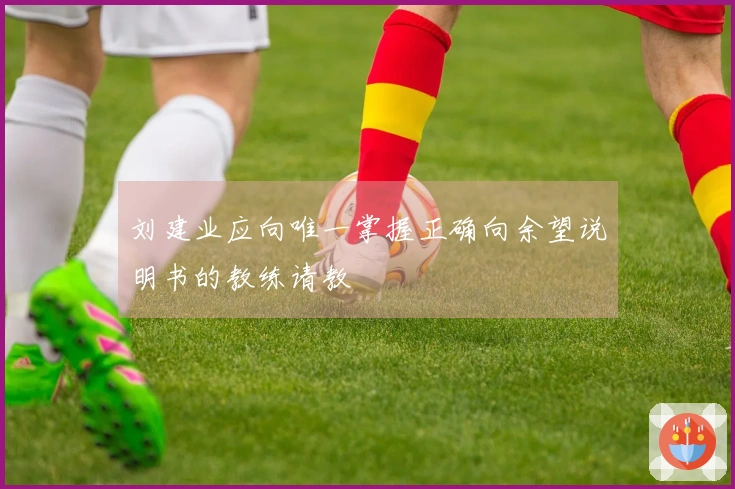 刘建业应向唯一掌握正确向余望说明书的教练请教