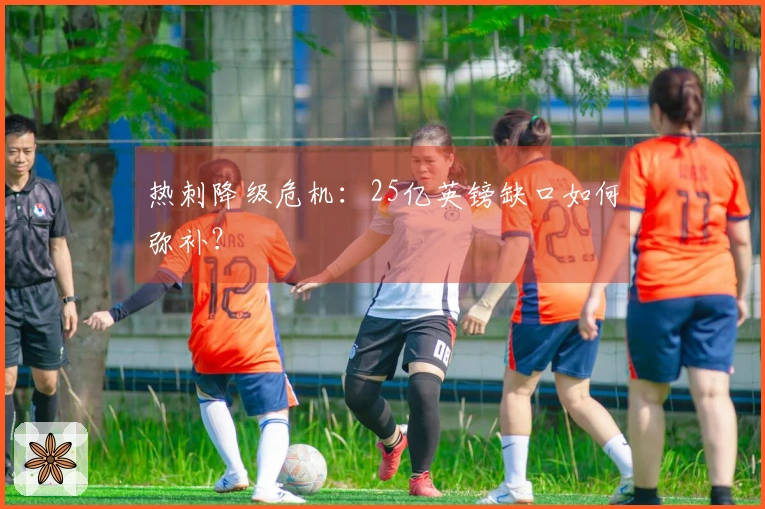 热刺降级危机：25亿英镑缺口如何弥补？